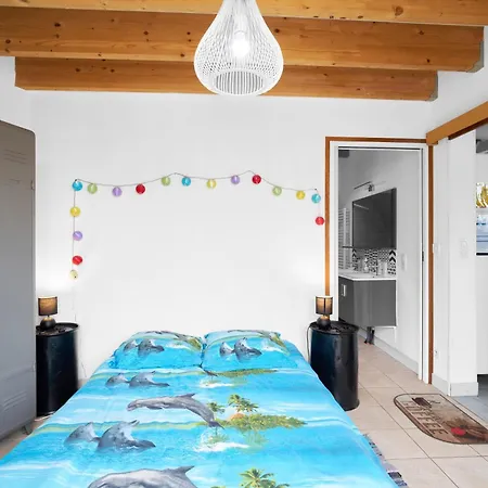 Loft Piscine Chauffee Et Couverte * Sauvignac